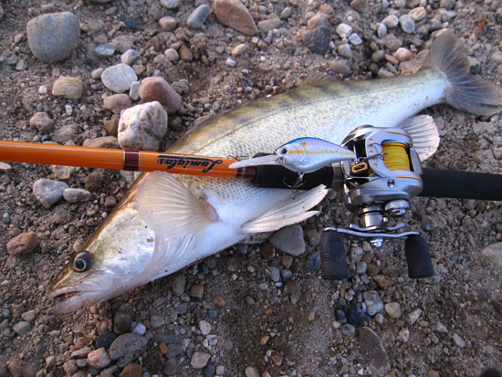 Fiberglass vs. Graphite Fishing Rods