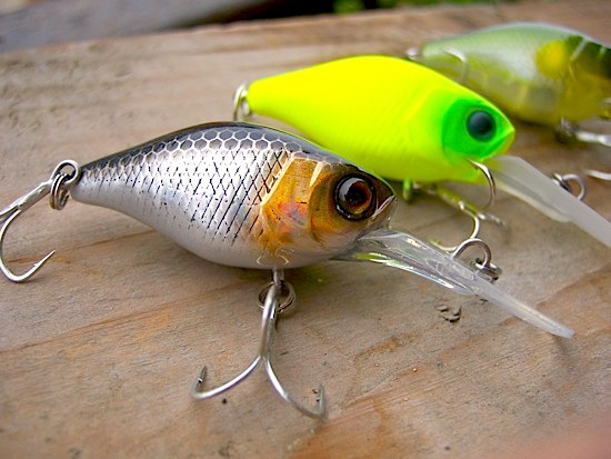 3D Eye Luminous Night Fishing Lure Floating Fatty Body Crankbait fishing tac.dr